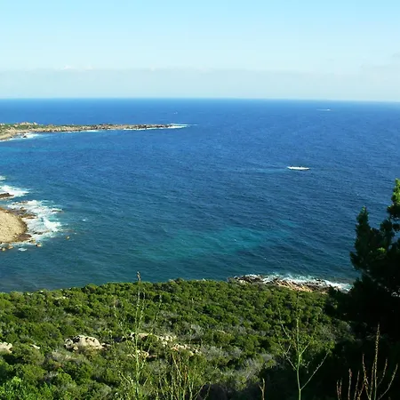 Feriehus Les Aulnes Porto-Vecchio (Corsica)
