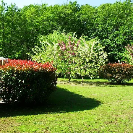 Holiday home Les Aulnes *