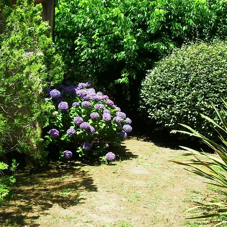 Les Aulnes ポルトヴェッキオ