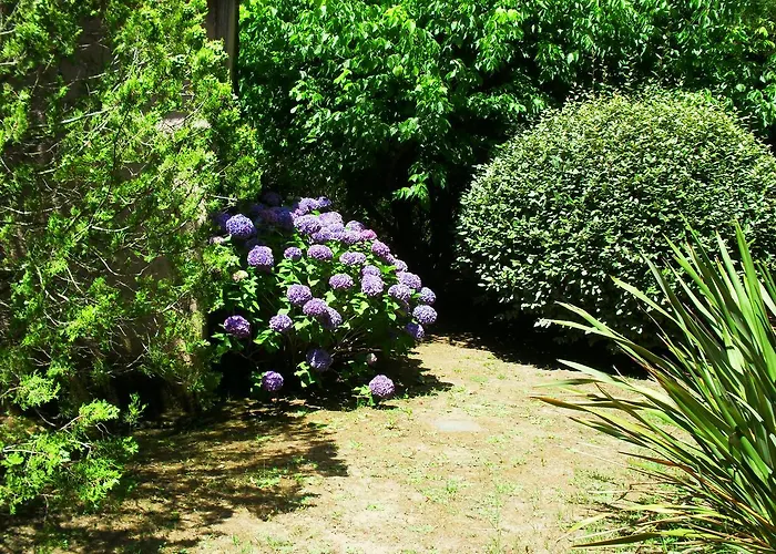 Les Aulnes Porto Vecchio